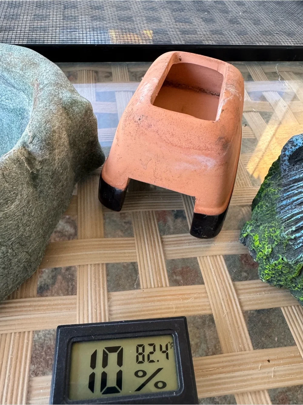 Reptile Terrarium Decor & Supplies Bundle